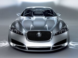 Jaguar.jpg